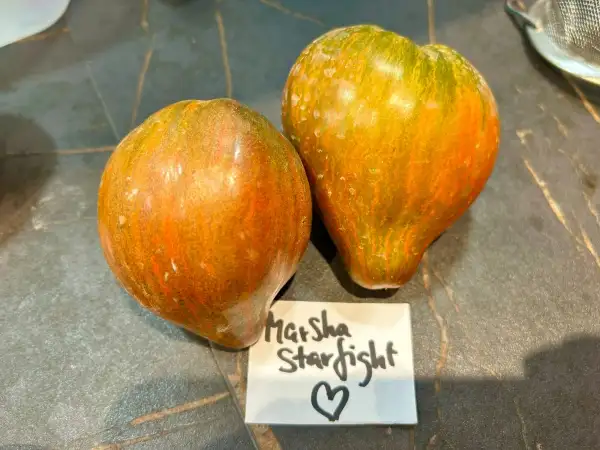 Tomaten: Marsha starfighter heart