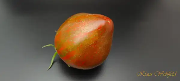 Tomaten: Marshas starfighter heart