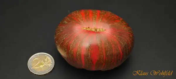 Tomaten: Marshas Sternenjäger Beefsteak