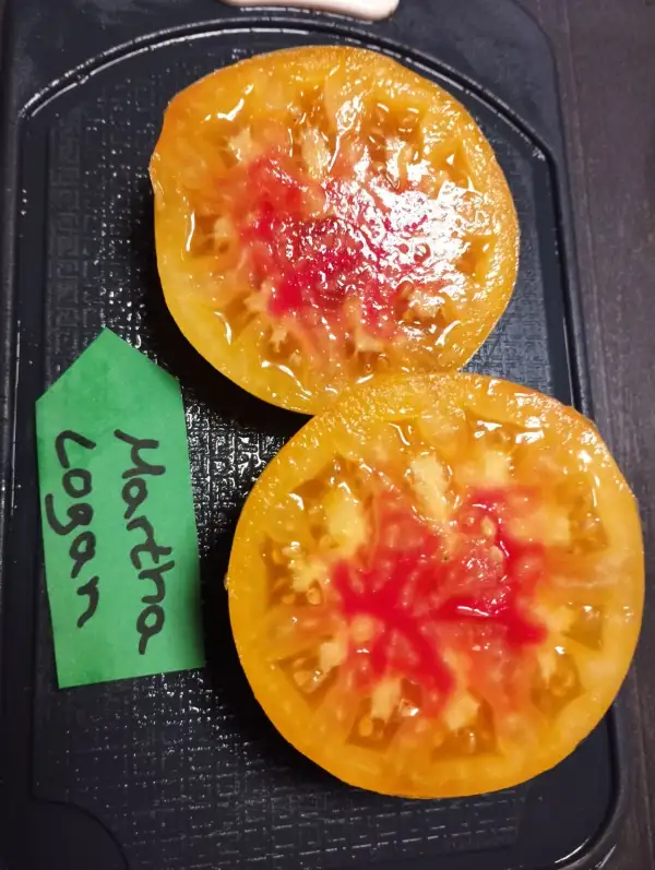Tomaten: Martha Logan
