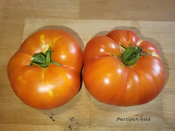 Tomaten: Marzipan gold