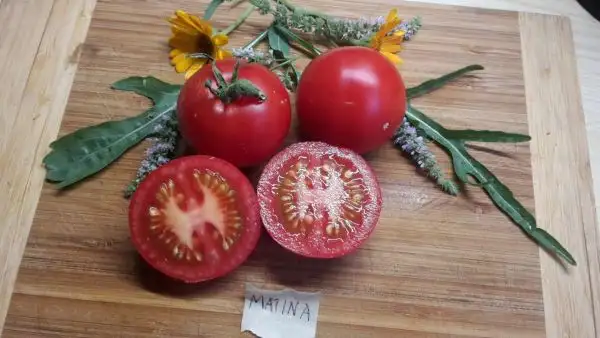 Tomaten: Matina