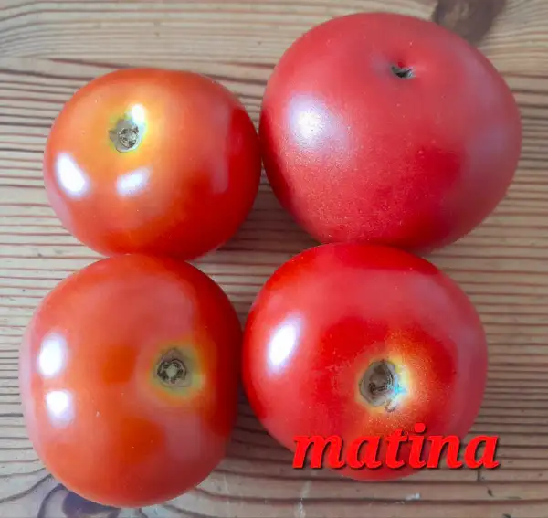 Tomaten: Matina