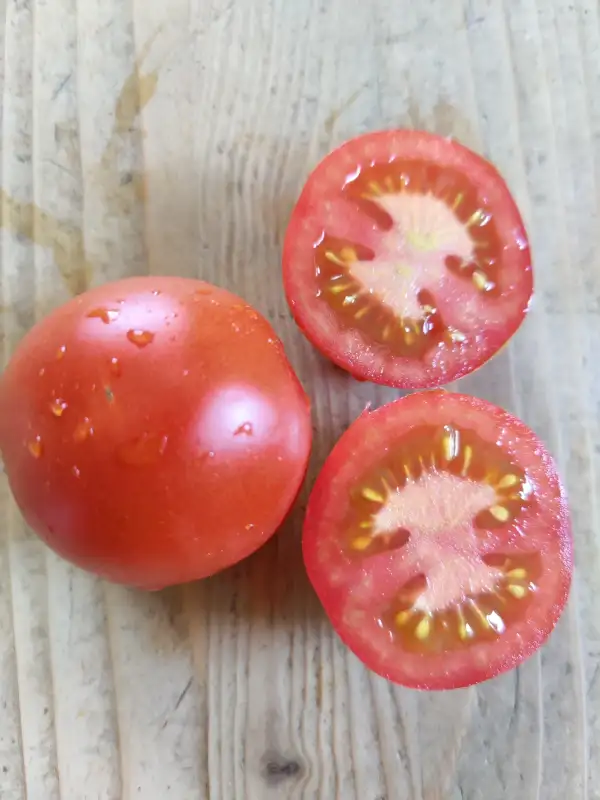 Tomaten: Matina