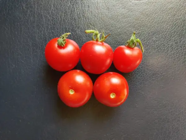 Tomaten: Matina