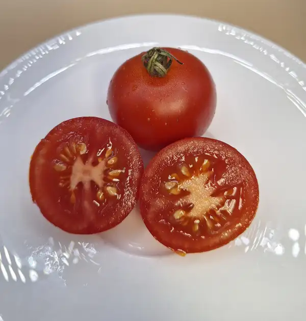 Tomaten: Matina