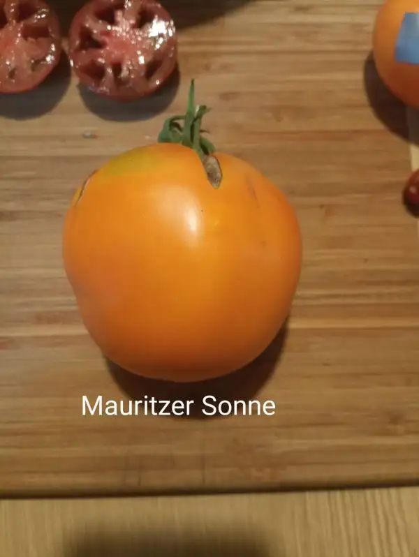 Tomaten: Mauritzer Sonne