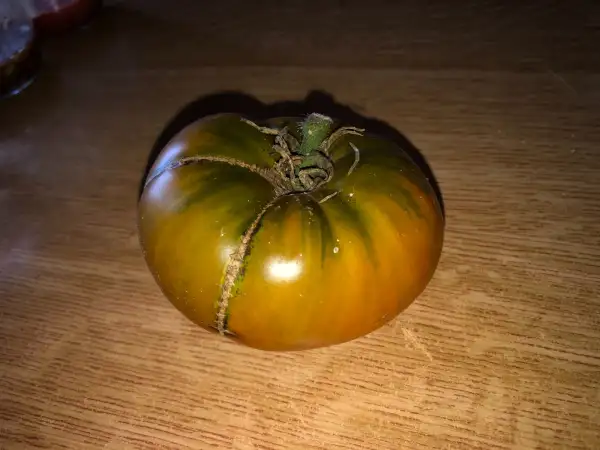 Tomaten: Max