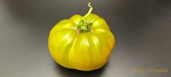 Tomaten: Max´s Large Green