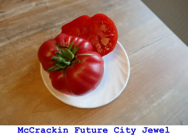 Tomaten: McCrackin Future City Jewel