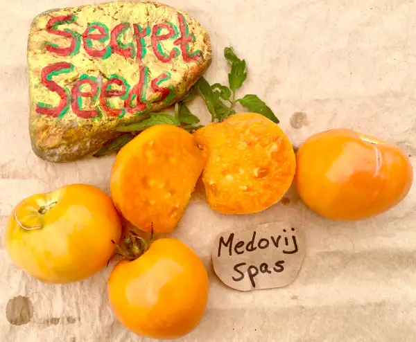 Tomaten: Medovij spas