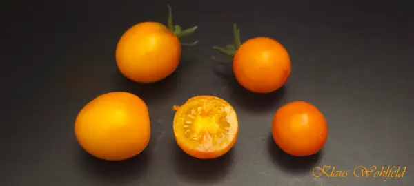 Tomaten: Medoviy Greben