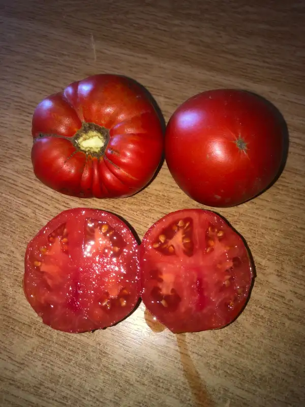 Tomaten: Mega Marv