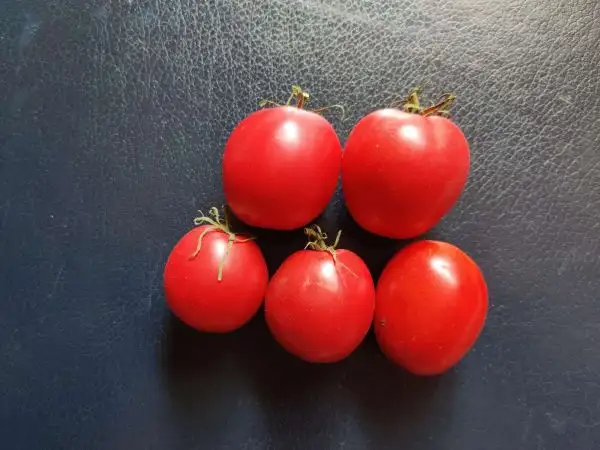 Tomaten: Melanie’s Ballet