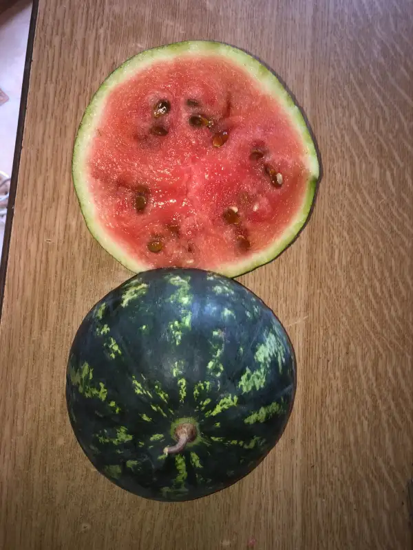 Obst: Melitopolski wassermelone