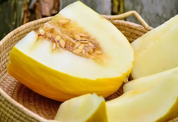 Melonen: Melone Giallo Da Inverno