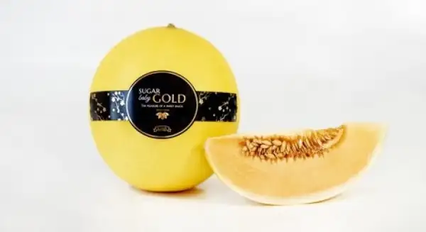 Melonen: Melone Sugar Baby "Gold"