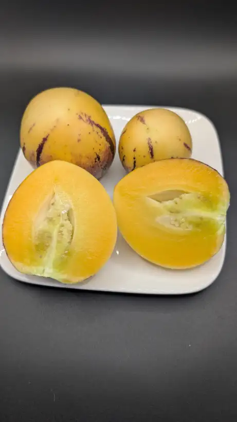 Obst: Melonenbirne / Pepino
