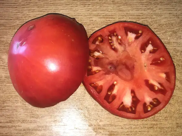 Tomaten: Mendigorria