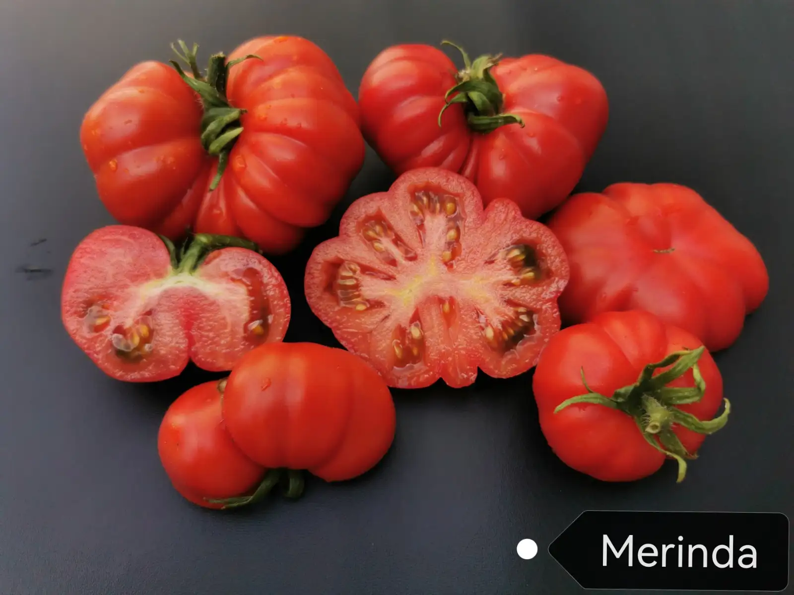 Tomaten: Merinda