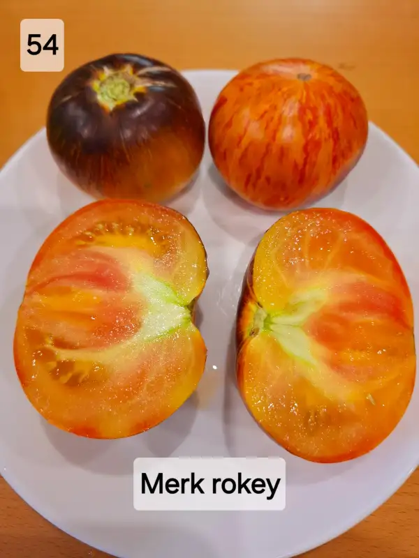 Tomaten: Merk rokey