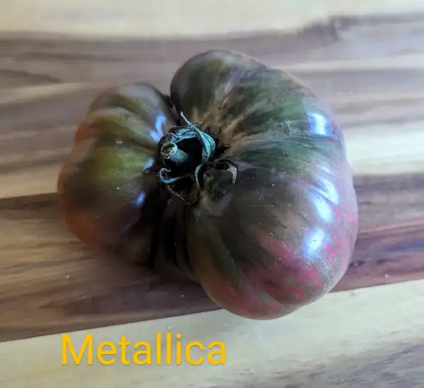 Tomaten: Metallica