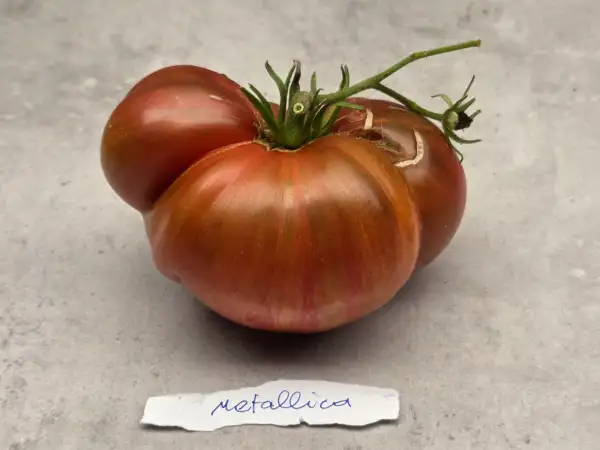Tomaten: Metallica
