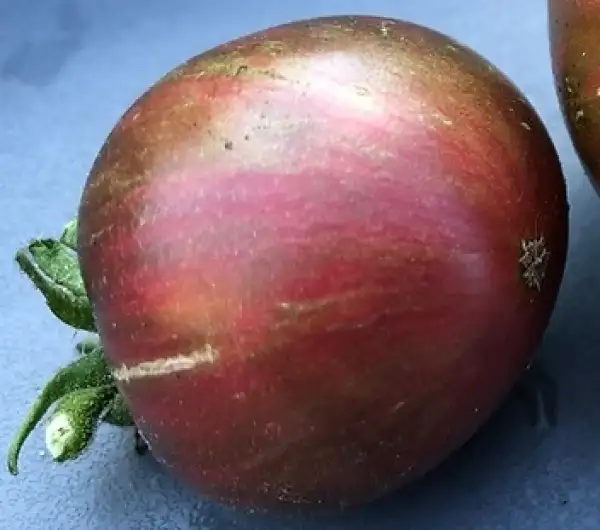 Tomaten: Metallica