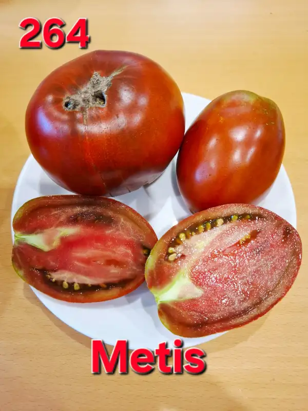 Tomaten: Metis