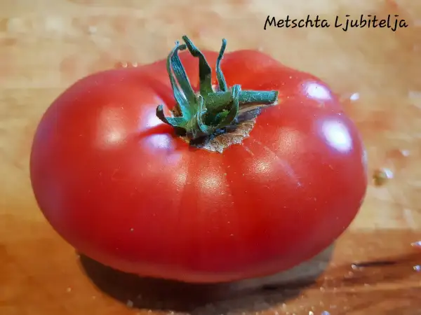 Tomaten: Metschta Ljubitelja