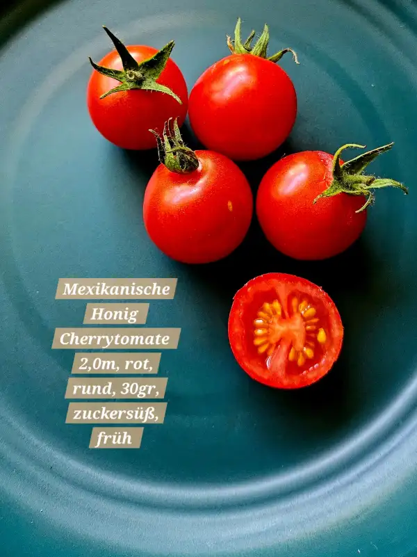 Tomaten: Mexikanische Honig