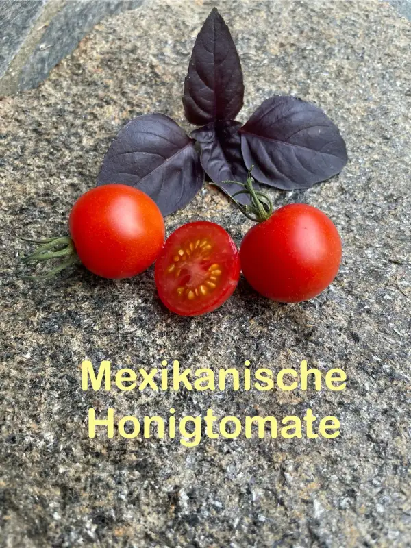 Tomaten: Mexikanische Honigtomate