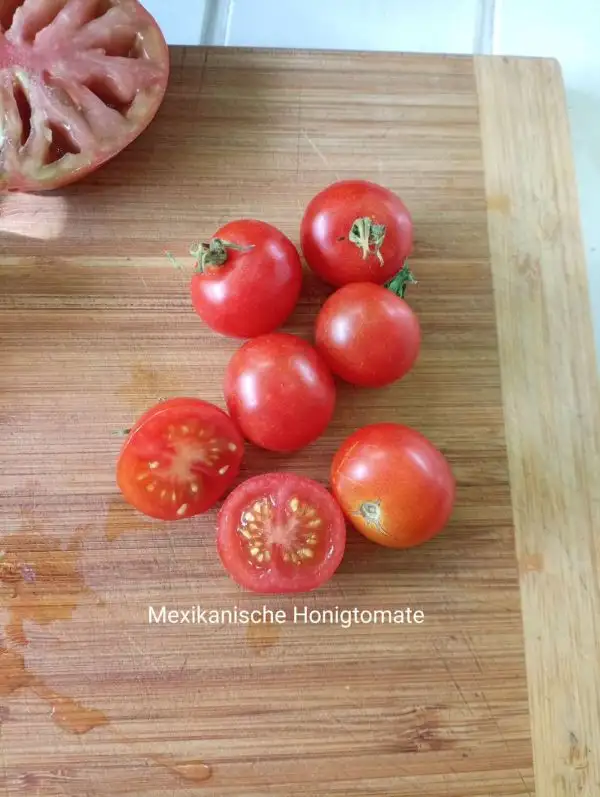 Tomaten: Mexikanische Honigtomate