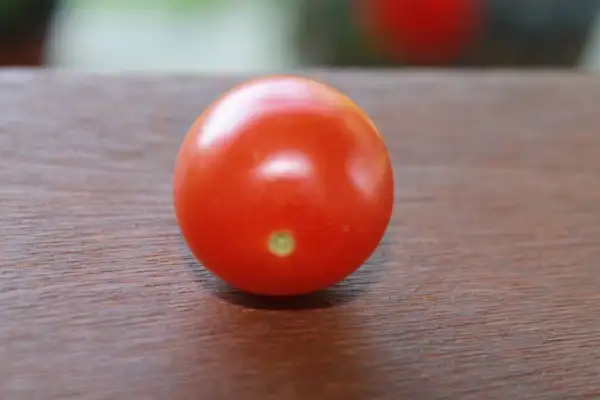 Tomaten: Mexikanische Honigtomate