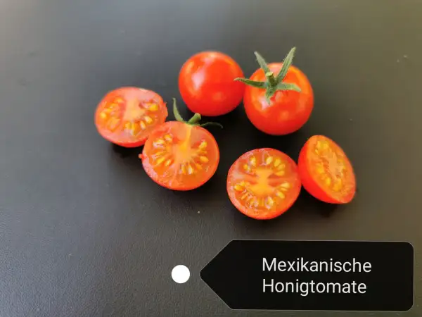 Tomaten: Mexikanische Honigtomate