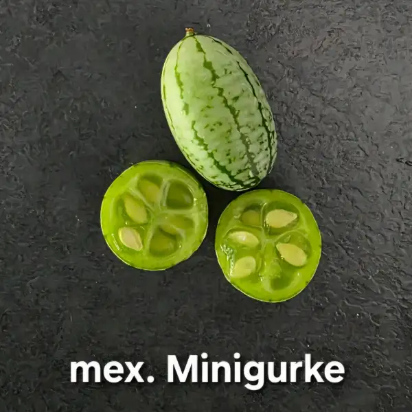 Gurken: Mexikanische Minigurke (5+ Korn)