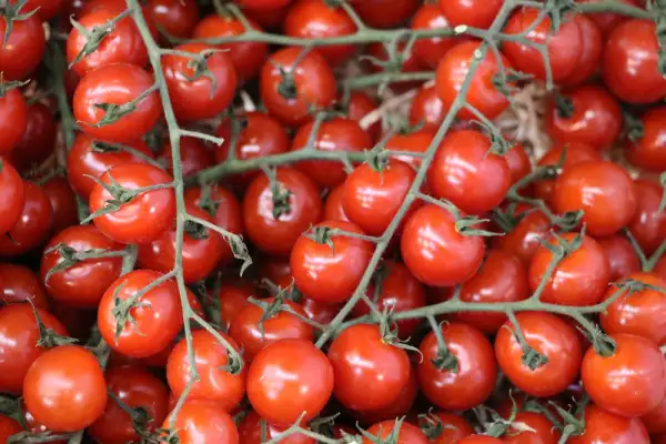 Tomaten: Mia Passione