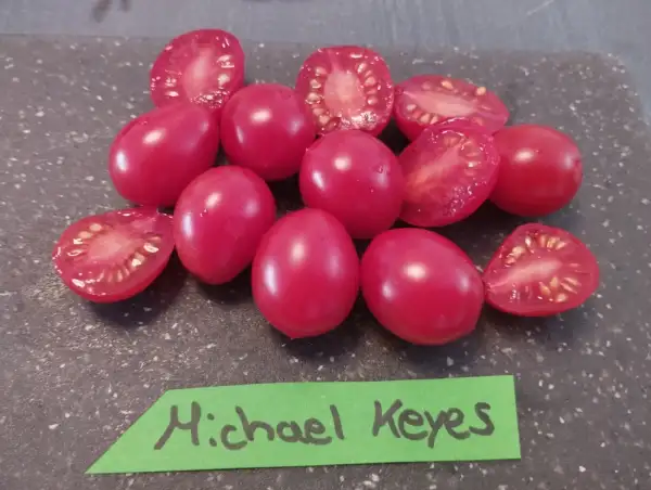 Tomaten: Michael Keyes
