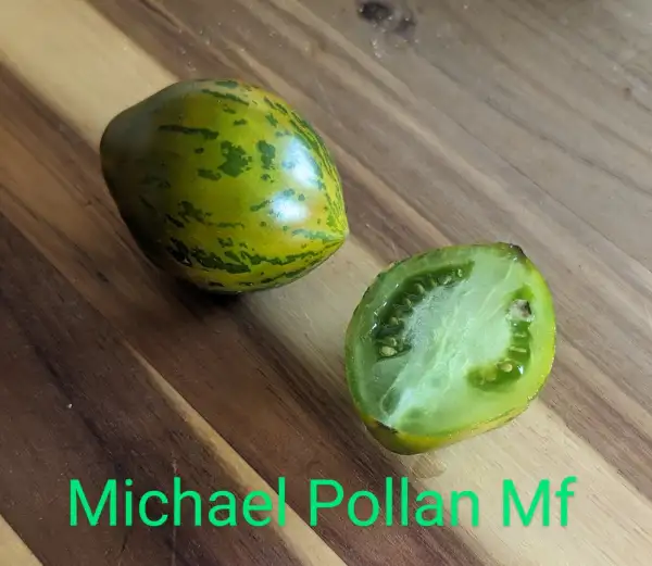 Tomaten: Michael Pollan