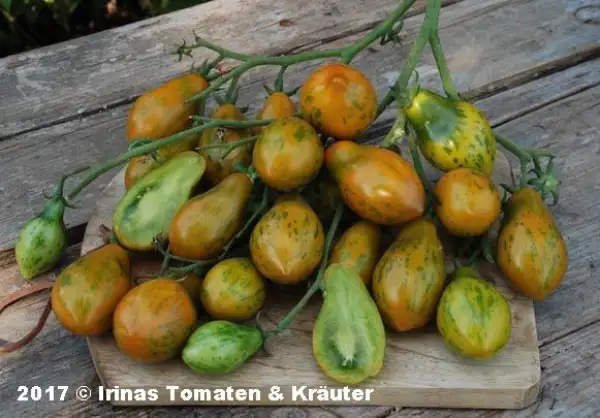 Tomaten: Michael Pollan
