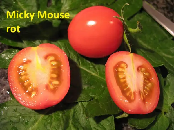 Tomaten: Micky Mouse