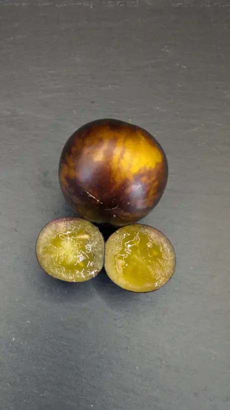 Tomaten: Micro Sun (Micro Dwarf)