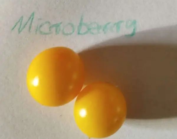 Tomaten: Microberry