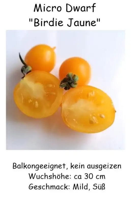 Tomaten: Microdwarf Birdie Jaune