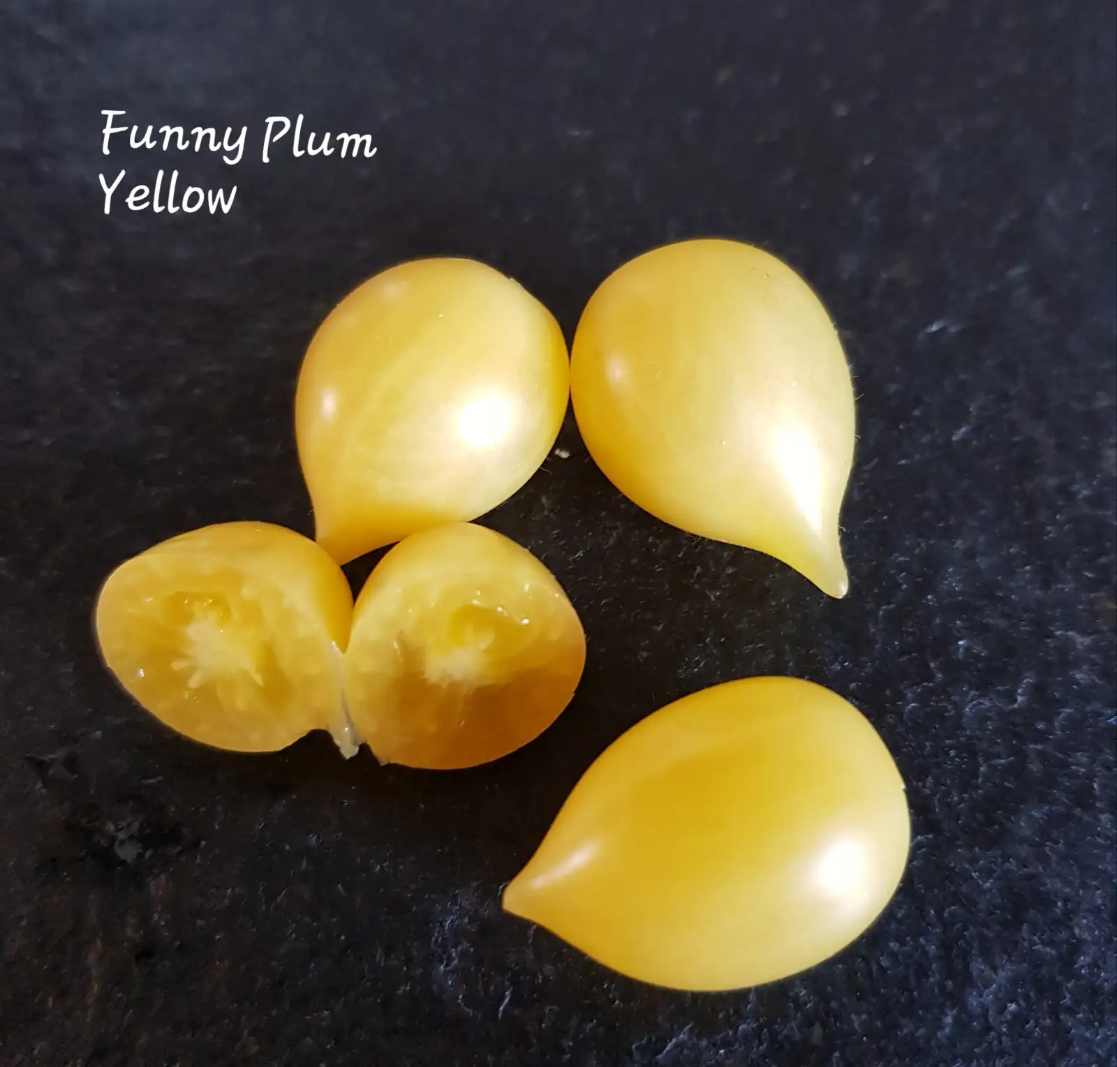 Tomaten: Microdwarf Funny Plum Yellow