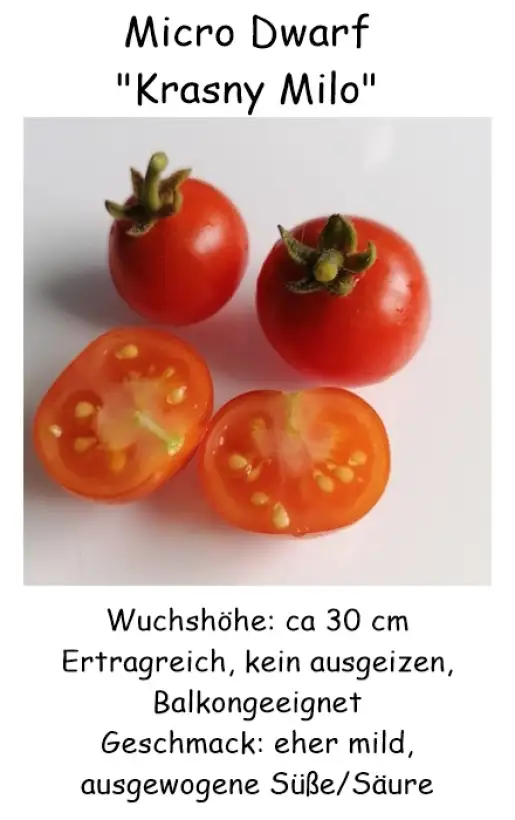 Tomaten: Microdwarf Krasny Milo