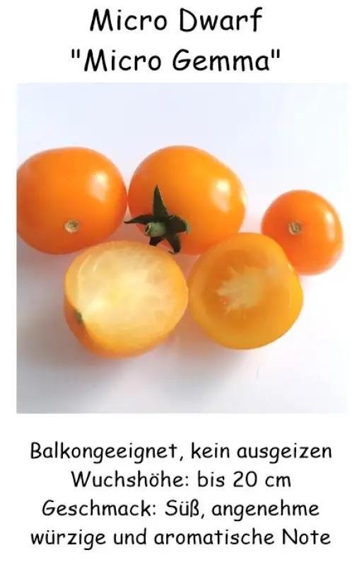 Tomaten: Microdwarf Micro Gemma