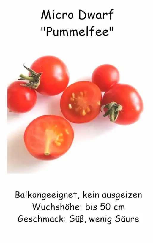 Tomaten: Microdwarf Pummelfee