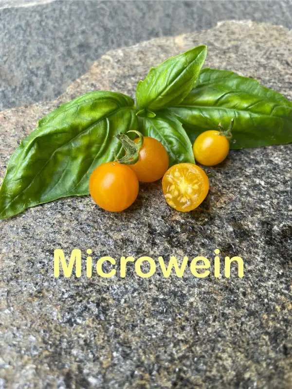 Tomaten: Microwein