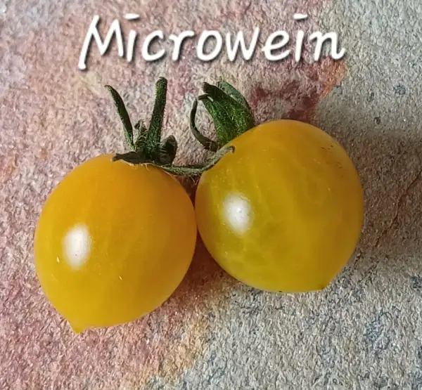 Tomaten: Microwein